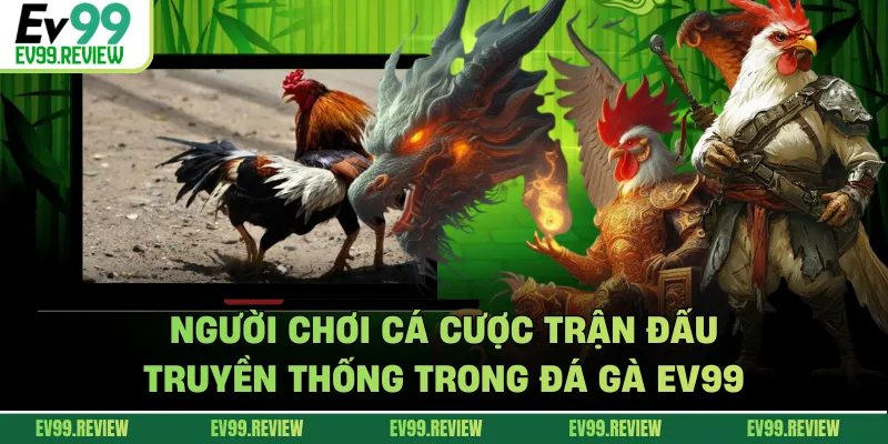 Người chơi cá cược trận đấu truyền thống trong đá gà EV99