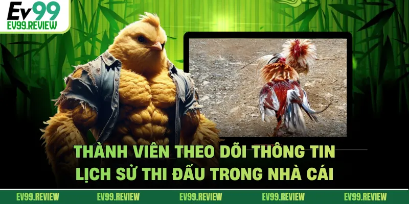 Thành viên theo dõi thông tin lịch sử thi đấu trong nhà cái